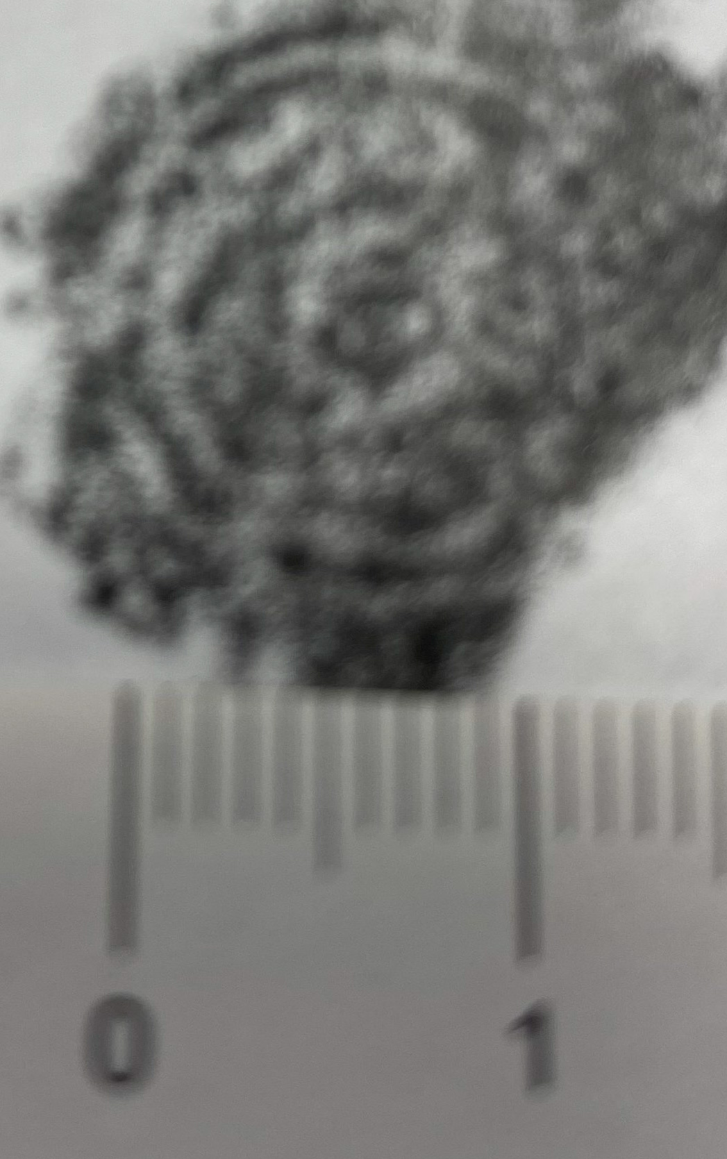 Image Description for https://www.hist-einband.de/Bilder/HAB/IMG_0042[1]_edited.jpg